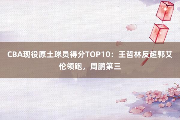 CBA现役原土球员得分TOP10：王哲林反超郭艾伦领跑，周鹏第三